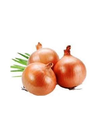 150 Adet Tohum Organik Hobi Bahçe Soğan Kuru Kışlık Soğan
