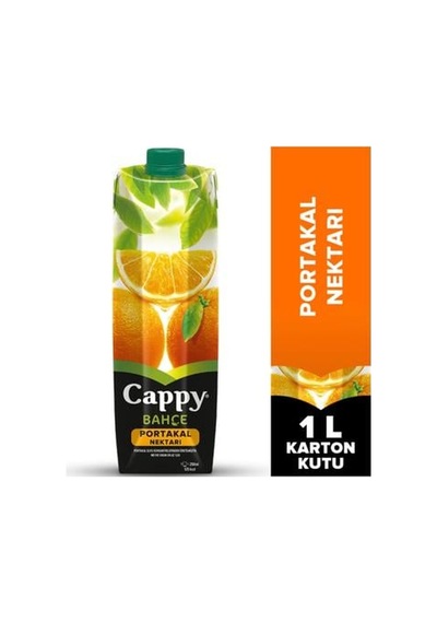 Portakal 1 Lt. Tetra Kls