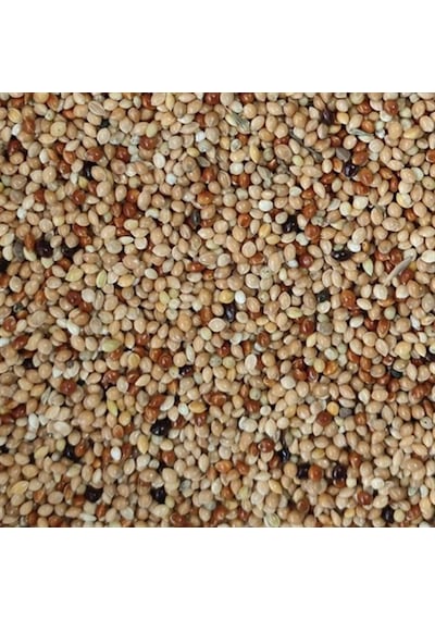Meyvesiz Muhabbet Kuşu Yemi Karışık 1 KG