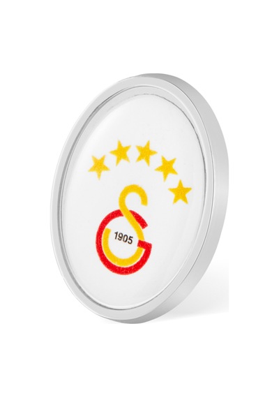 Galatasaray Oval 5 Yıldız Gs Logo Rozet U252334 Diğer