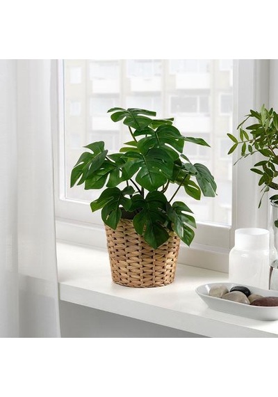 Yapay DeveTabanı Bitkisi MeridyenDukkan 12Cm Monstera Çiçeği İç-Dış Mekana Uygun