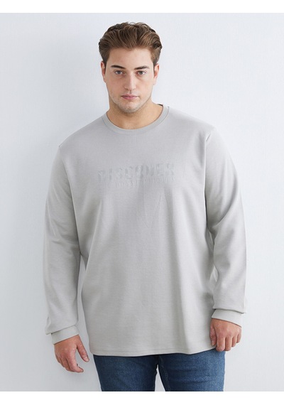 Lcwaıkıkı Classic Gri Büyük Beden Bisiklet Yaka Baskılı Erkek Sweatshirt