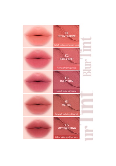 Blur Efektiyle Dolgun Görünüm Sunan Kadife Bitişli Tint Clıo Volumate Blur Tint 110 Mellow Mauvepink 110 Mellow Mauve Pink