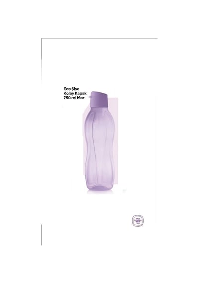 Eco Şişe Suluk 750 Ml 2 Li Set Mavi Lila