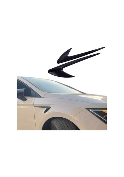 Mitsubishi Çamurluk Venti