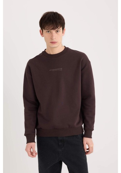 DeFacto Boxy Fit Bisiklet Yaka Baskılı Sweatshirt X8282AZ24AUBN337