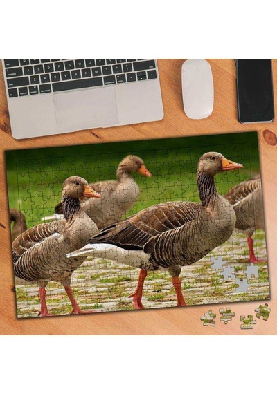Ördek Sürüsü 240 Parça Puzzle Yapboz-3487734