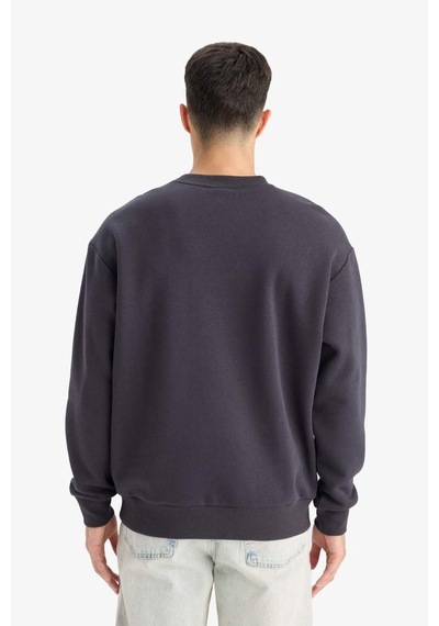 Defacto Relax Fit Bisiklet Yaka Kalın İçi Yumuşak Tüylü Basic Düz Sweatshirt T5139az25auar138 Antrasit
