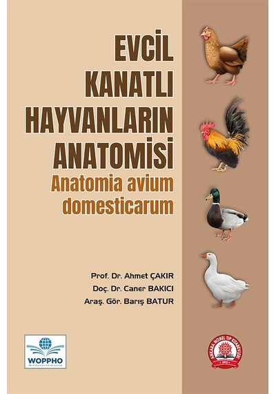 Evcil Kanatlı Hayvanların Anatomisi