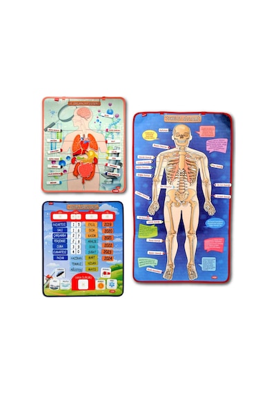 3 Set -106 Parça Tox İç Organlar . İskelet Sistemi ve Takvimi Öğ