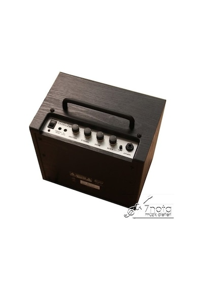 Ibz10gv2-u Elektro Gitar Amfisi