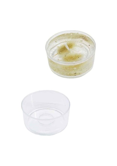 Tahtakale Toptancıları Mika Kutu Mumluk 2.5x5 Cm 20 Adet Çok Renkli