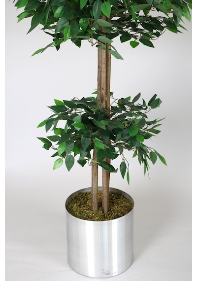 Yapay Çiçek Deposu Gri Metal Saksıda Yapay Benjamin Ağacı Ficus Benjamina 180 Cm Yeşil