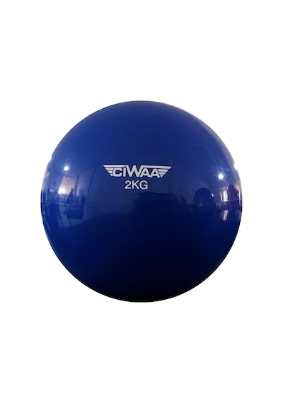 Pilates Ağırlık Topu Toning Ball 2 KG - Mavi