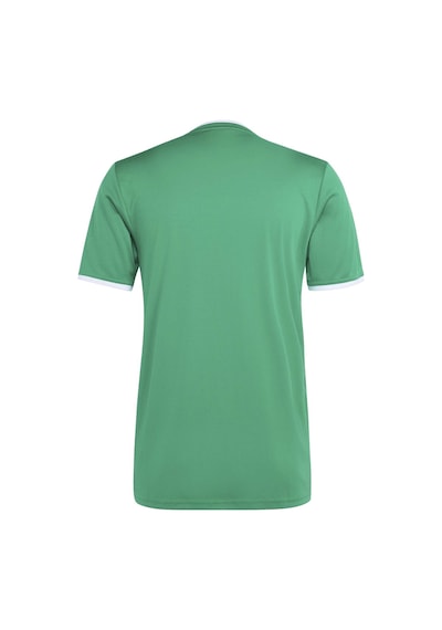 Teagrn/whıte Adidas Erkek Futbol Forma Ent26 Gfx Jsy Kb3970 Yeşil