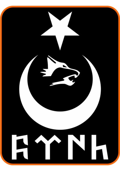Türk Yazılı Ay Yıldız Kurt Hilal Oto Sticker 30x20 Cm Beyaz