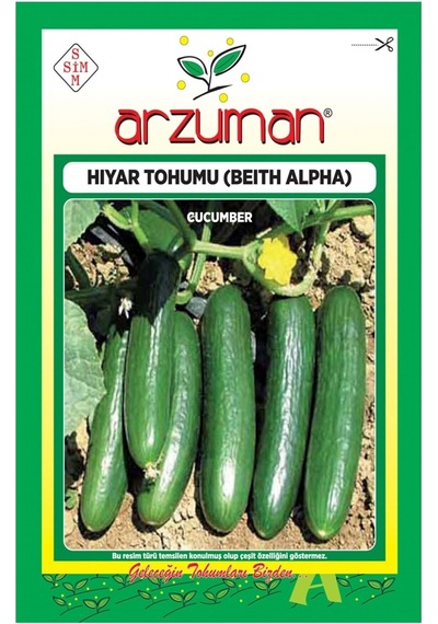 Arzuman Tohum Hıyar Tohumu Beıth Alpha