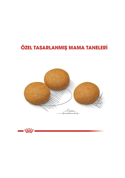 Royal Canin Ccn Maxi Derma Yetişkin Köpek Maması 12 KG