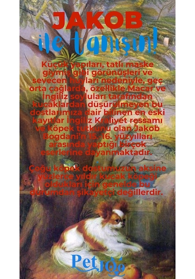 Petjoo 8.Jakob Mavi-Kırmızı Qr'lı Köpek Künyesi