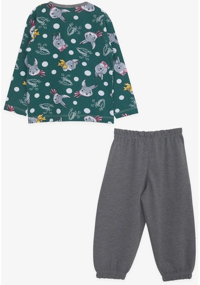 Breeze Kız Bebek Pijama Takımı Tavşancık Desenli 9 Ay-3 Yaş, Yeşil-yeşil Yeşil