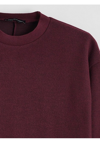 Lcw Everyday Mürdüm Bisiklet Yaka Oversize Kadın Tişört