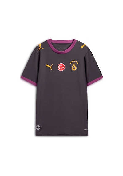 Puma Galatasaray 26/27 Genç Deplasman Forması 785016 05 Gri