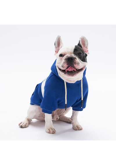 Pawstar Mavi Cute Köpek Hoodie Köpek Sweat Köpek Kedi Kıyafeti