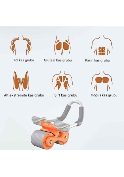 Ab Roller Karın Kası Egzersiz Tekerleği