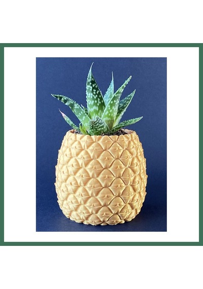 En-cag 3d Baskı Ananas Formlu Saksı Ve Kalemlik Kabartma Dokulu Sukulent Saksısı Masaüstü Bitki Ve Kalem Tutucu Bss Standart
