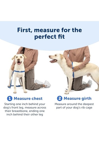 Easy Walk No-pull Köpek Koşum Takımı - Çekmeyi Durdurmaya Yardımcı Olacak Nihai Koşum Takımı - Kontrolü Ele A Genel