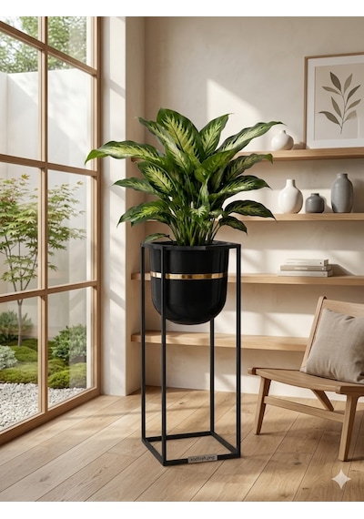 Bitkidunyam Mat Metal Kare Ayaklı Saksı, Altın Detaylı Kenar, Silindirik, Modern Tasarım, 50x21 Cm No:5 Siyah