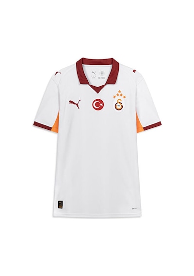 Puma Erkek Galatasaray 25/26 Deplasman Forması Erkek Galatasaray 25/26 Deplasman Forması 77981102 -11