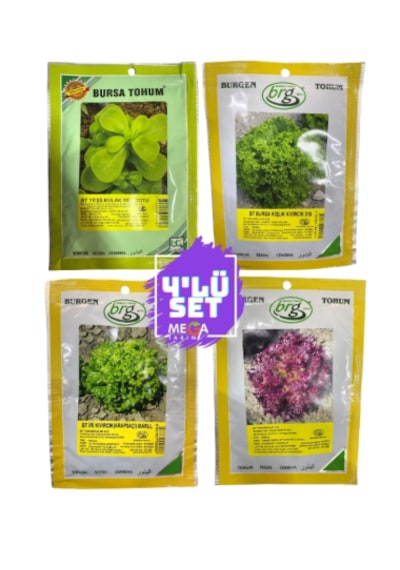 Bursa Tohumculuk 4'lü Tohum Seti Semizotu-kışlık Kıvırcık-arapsaçı Marul -kırmızı Marul 10 Gr Paketler Marul