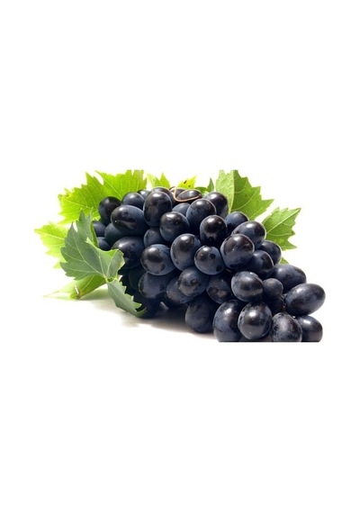 4 Farklı Çeşit Üzüm Tohumu 8 Tohum + Srüpzi Tohum