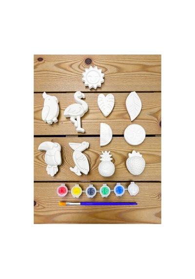 Tropikal Kuşlar Ve Meyveler Taş Boyama Seti Workshop - Baby Shower - Doğumgünü Çocuk & Yetişkin