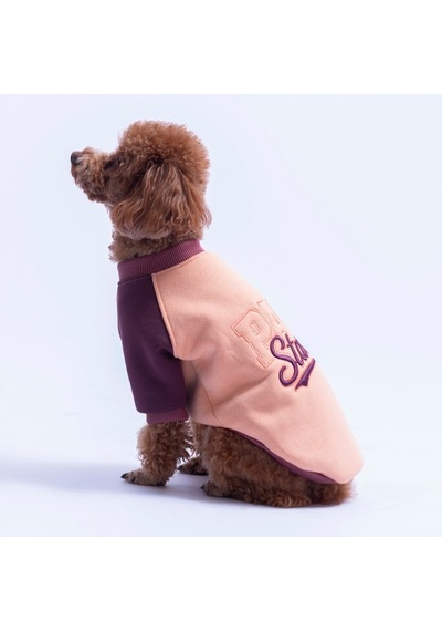 Somon Boston Pawstar Sweat Köpek Sweatshirt Köpek Sweat Köpek Kıyafeti Kedi Kıyafeti Somon Boston Pawstar Sweat Köpek Sweatshirt Köpek Sweat Köpek Kıyafeti Kedi Kıyafeti