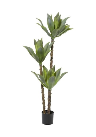 Yapay Ağaç Agave Ağacı 3Gövdeli 160 cm Premium Kalite