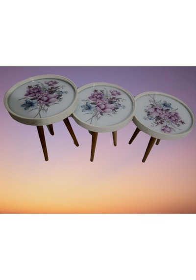 Zigon Sehpa Çember Yaban Gülü Model Kayın Retro Parlak Ceviz 3 Ay