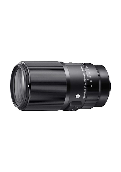 Sigma 105 MM F/2.8 DG DN Macro Art (Sony E) Uyumlu Lens