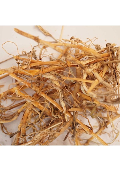 Derya Eren Ayrık Kökü Ayrık Otu Agropyron Repens 500 G
