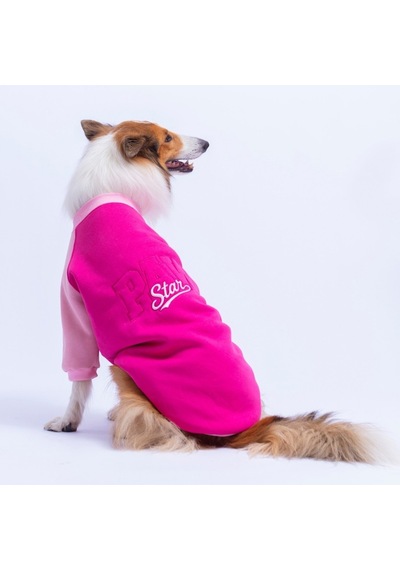 Fuşya Boston Pawstar Sweat Orta-büyük Irk Köpek Sweatshirt Köpek Sweat Köpek Kıyafeti Fuşya Boston Pawstar Sweat Orta-büyük Irk Köpek Sweatshirt Köpek Sweat Köpek Kıyafeti