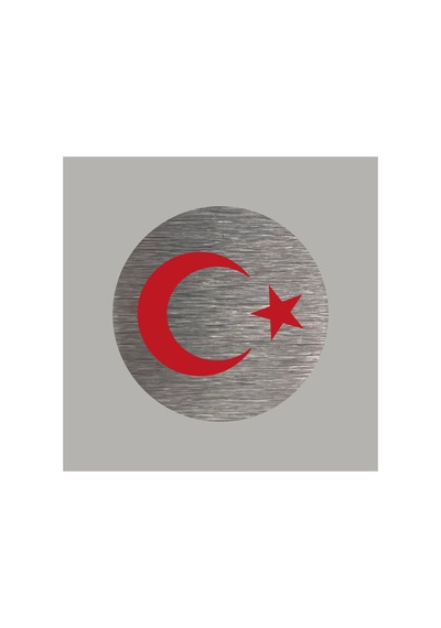 Gerçek Metal Türk Bayrağı Gümüş Renk Logo Amblem Arkası Yapışkanlı 5 Cm 1 Adet