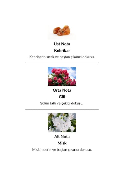 Alescia St-119 Kadın Parfüm EDP 50 ML