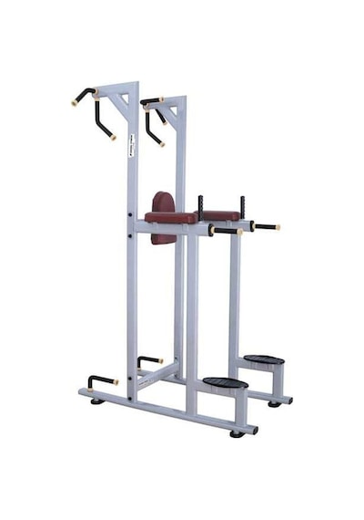 Diesel Fitness 9027 Vertical Knee Raise
