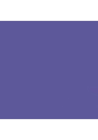 Gdx Seyyar Kağıt Sonsuz Stüdyo Fon Perde Purple 2.70x11 Metre