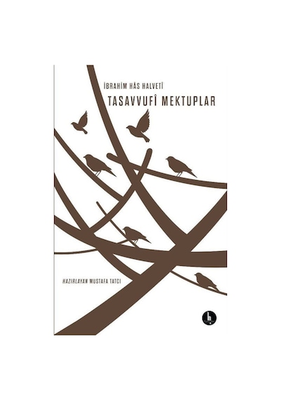 Tasavvufi Mektuplar - İbrahim Has Halveti - H Yayınları