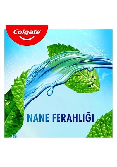 Plax Nane Ferahlığı Plağa Karşı Ağız Bakım Suyu 500 Ml
