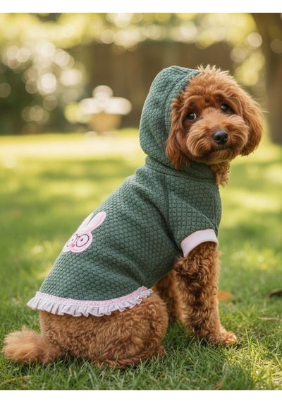 Bunnypop Kapüşonlu Köpek Elbisesi Yeşil Pembe