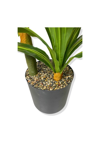 Cihan Çiçekçilik Dracaena Fragrans 3 Gövde Yapay Ağaç 160 Cm Siyah 30x30 Galvaniz Saksı Beyaz- Yeşil