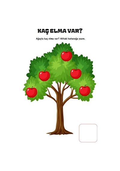 Çiziyorum-sayıyorum Yaz-sil Kitabı Okul Öncesi Ve Birinci Sınıfl